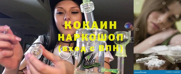 винт Ельня