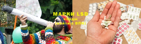 винт Ельня
