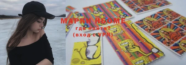винт Ельня