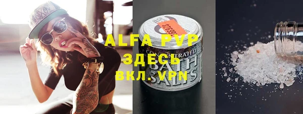 винт Ельня
