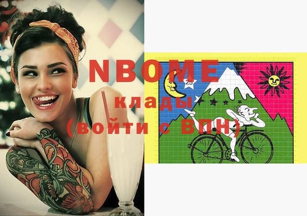 винт Ельня