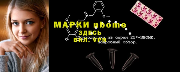 винт Ельня