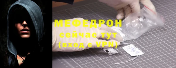 винт Ельня