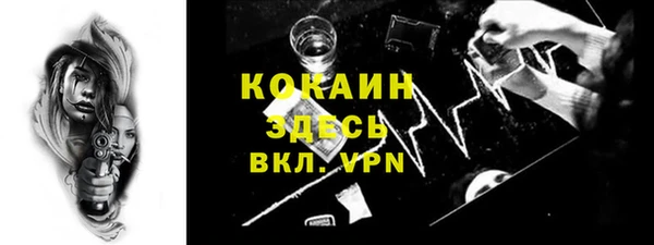 винт Ельня