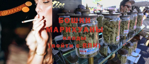 винт Ельня