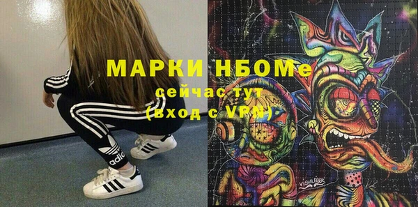 винт Ельня